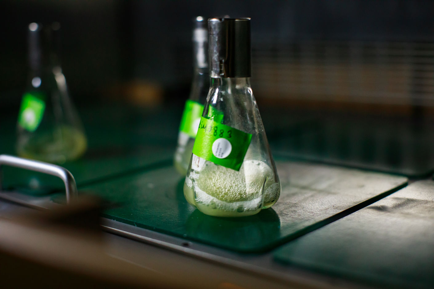 iMicrobes is scaling up biobased acrylic acid