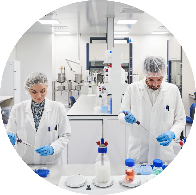 Agarose beads for chromatography