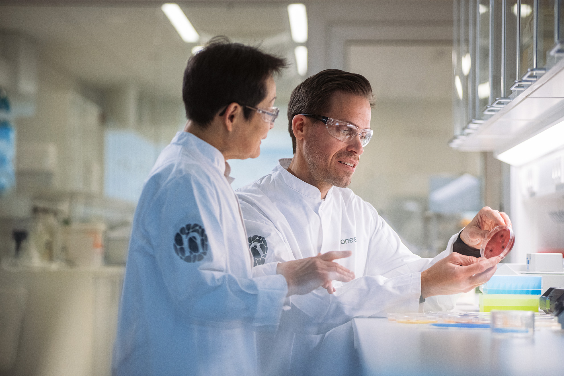 Enzymatic fat splitting