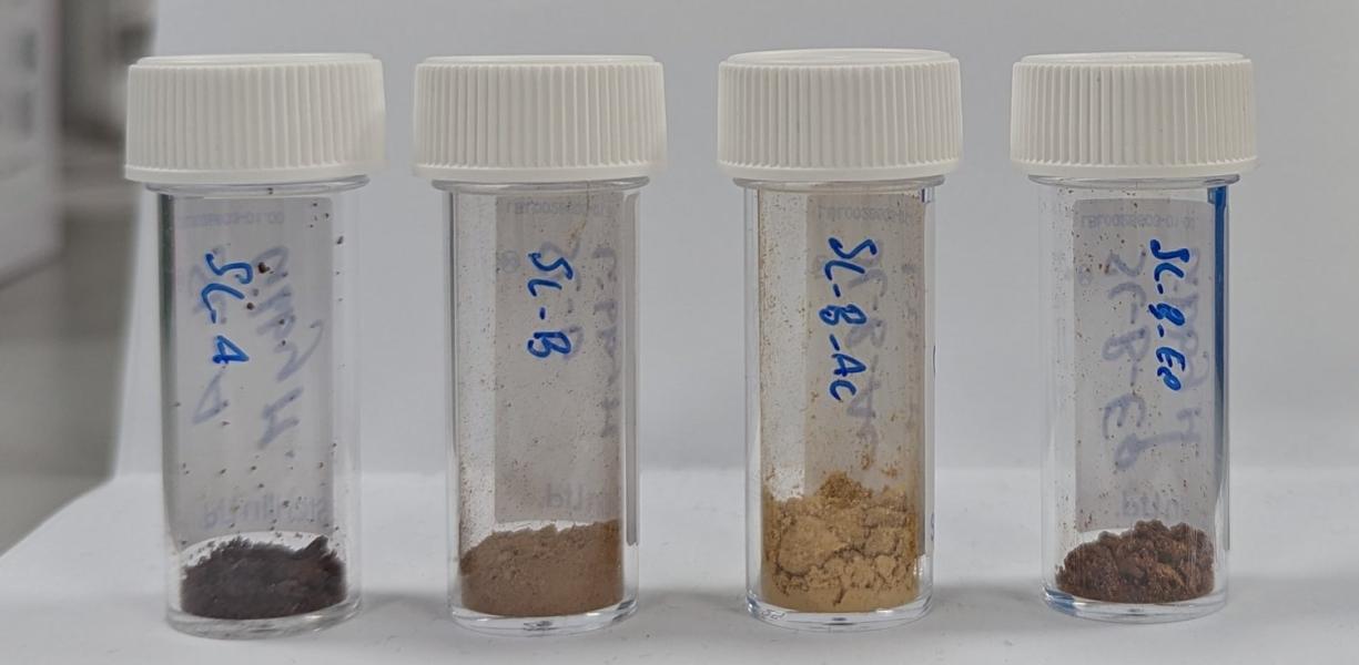 Sonichem is taking forestry residues and turning them into biochemicals