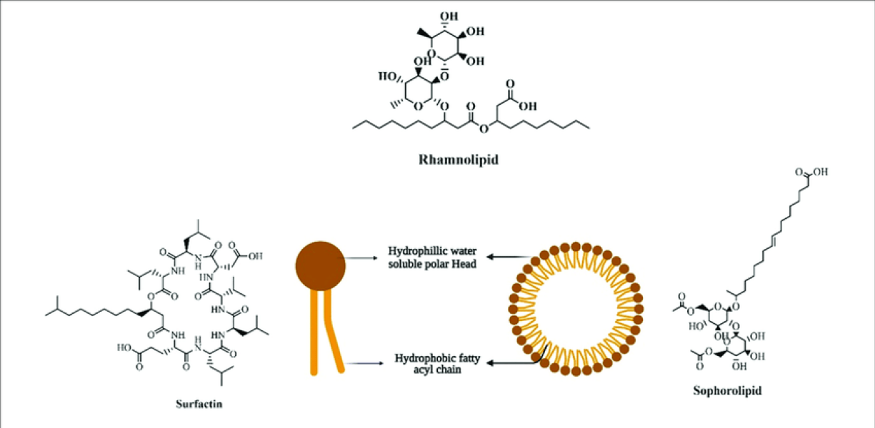 Biosurfactants are in rising demand in personal care and household uses