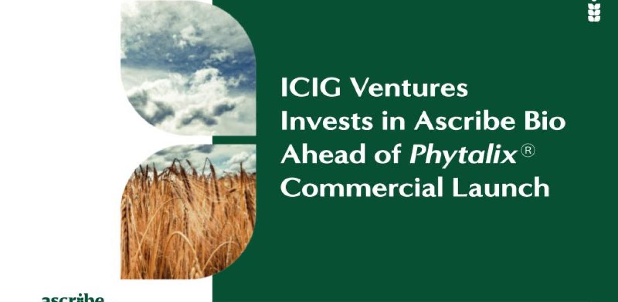Ascribe and LICIT have received the investments