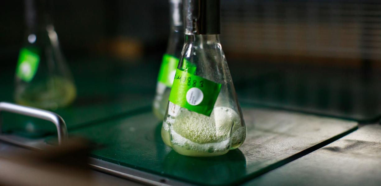 iMicrobes is scaling up biobased acrylic acid