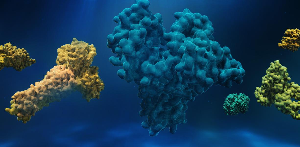 Ajinomoto's Corynex platform