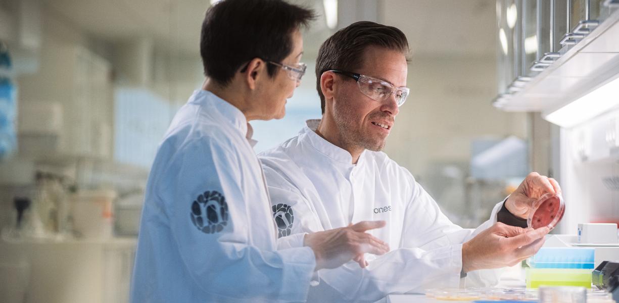 Enzymatic fat splitting