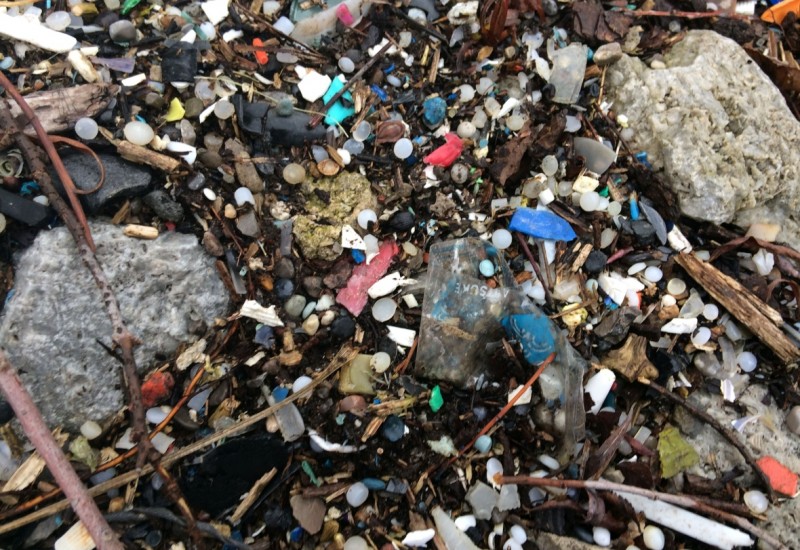 Microplastics